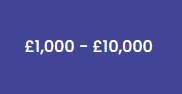  £1,000 - £10,000